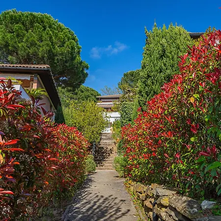 Διαμέρισμα Les Terrasses De Cavaliere Ii By Interhome Le Lavandou