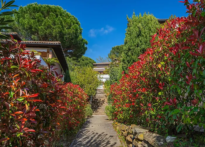 Апартаменты Les Terrasses De Cavaliere Ii By Interhome Ле-Лаванду